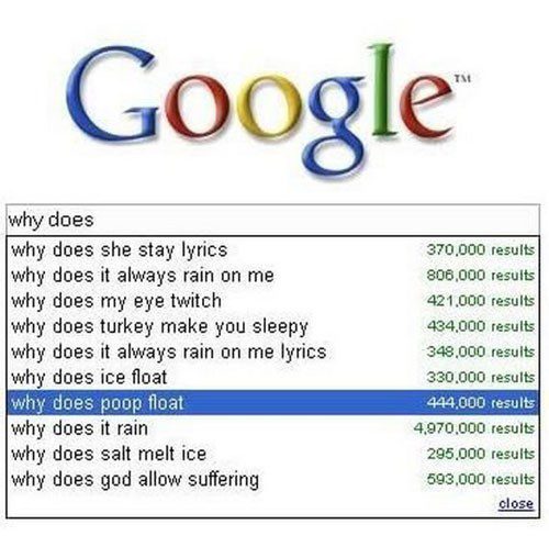 Why Does - Funny Google Search Suggestions