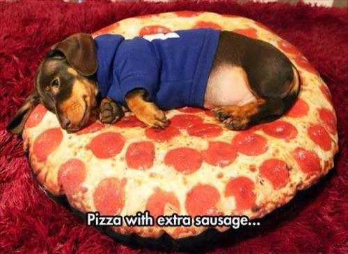 Extra Sausage - Funny Animal Picture Dog