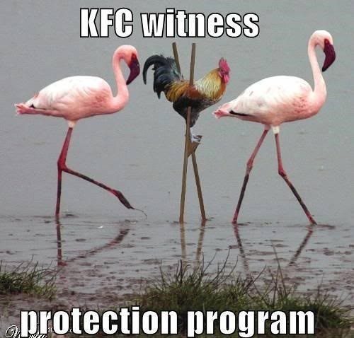 KFC Witness Protection - really funny picture