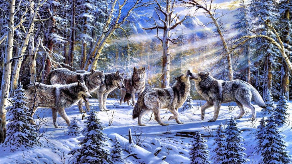 Pack Of Wolves In The Forest Wallpaper - desktop background