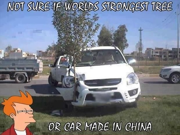 Strong Tree Or Car Made In China - Funny Image Meme
