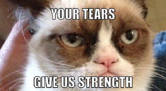 Your Tears Give Us Strength - grumpy cat meme