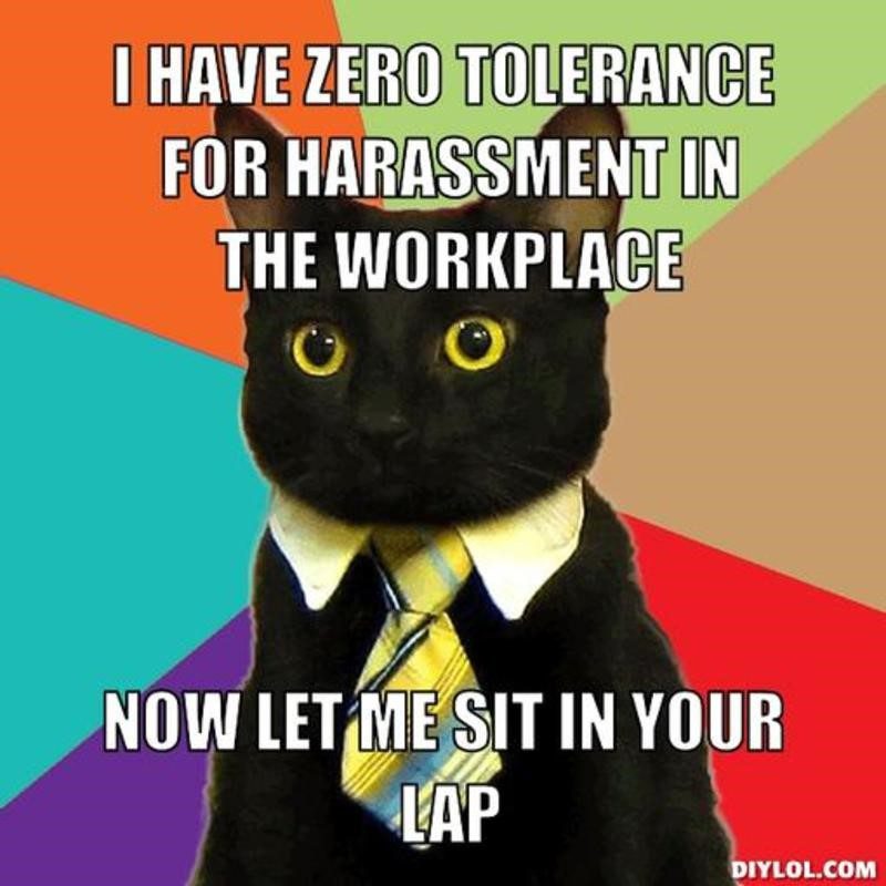 Let Me Sit In Your Lap - Work Meme - Business Cat