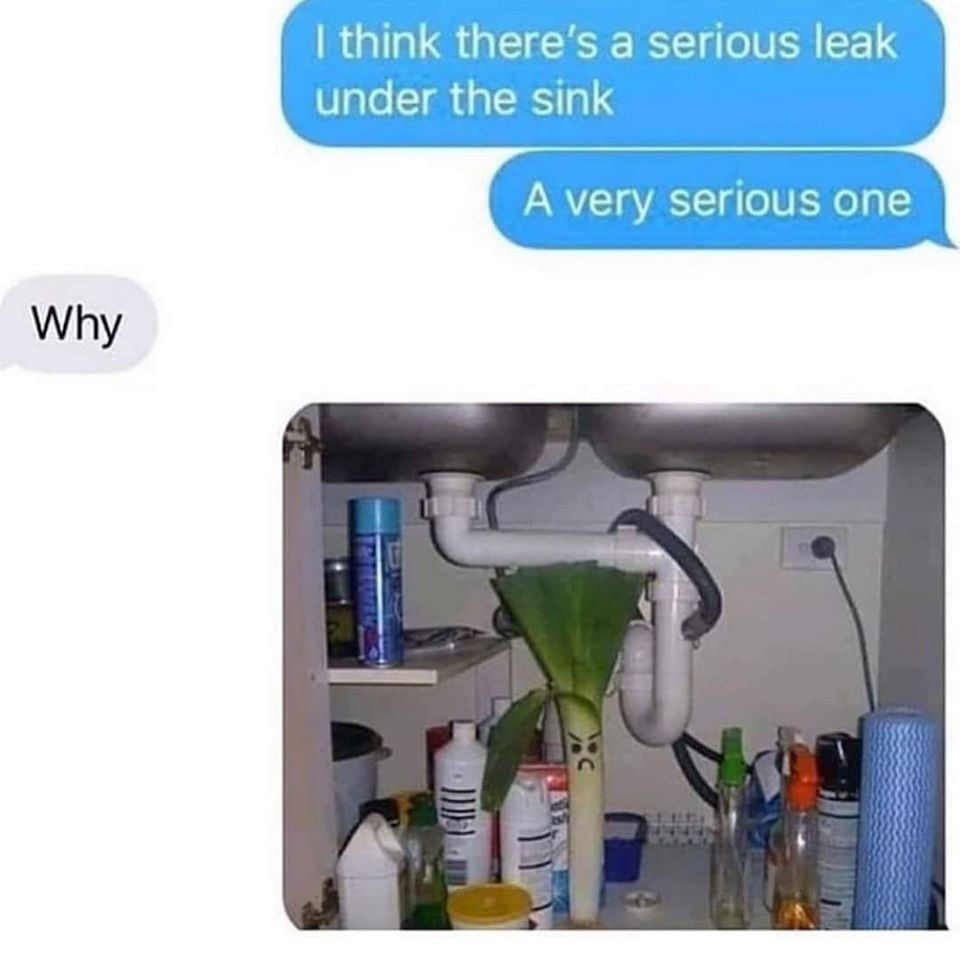 A Serious Leak Under The Sink