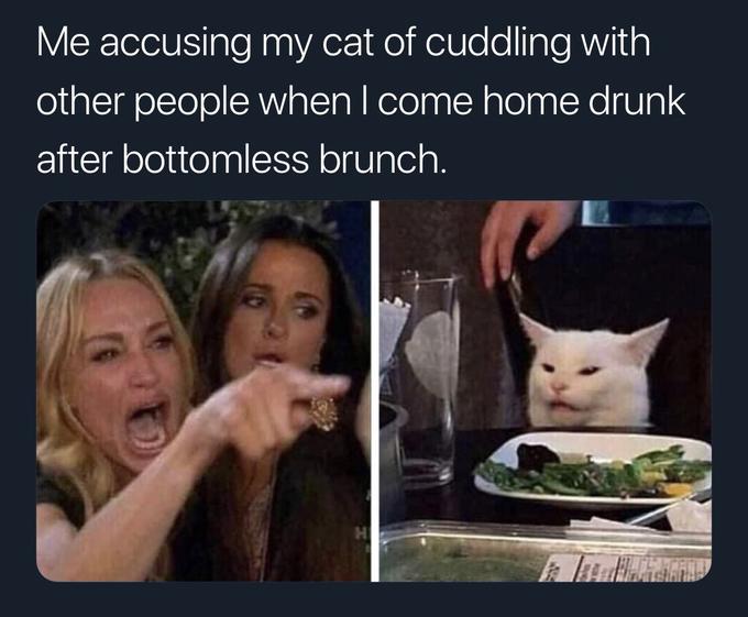 Accusing My Cat Of Cuddling With Other People