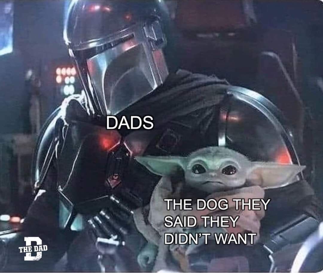 Dads And The Dog They Said They Didnt Want
