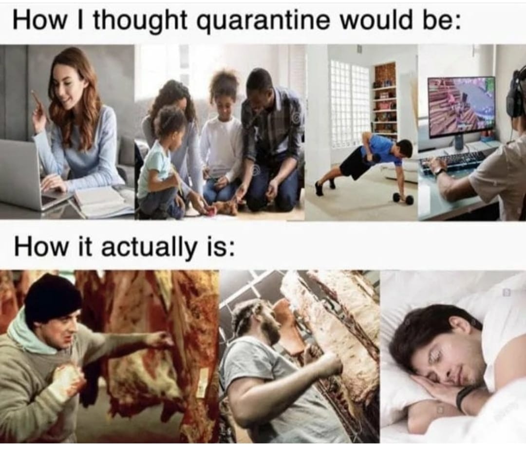How Quarantine Would Be - quarantine memes