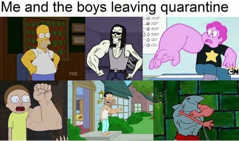 Me And The Boys - quarantine memes