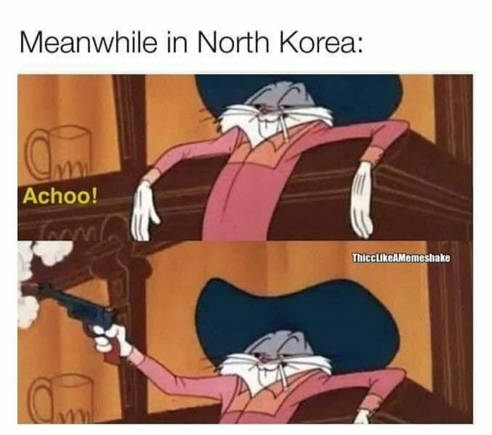 Meanwhile In North Korea - quarantine memes