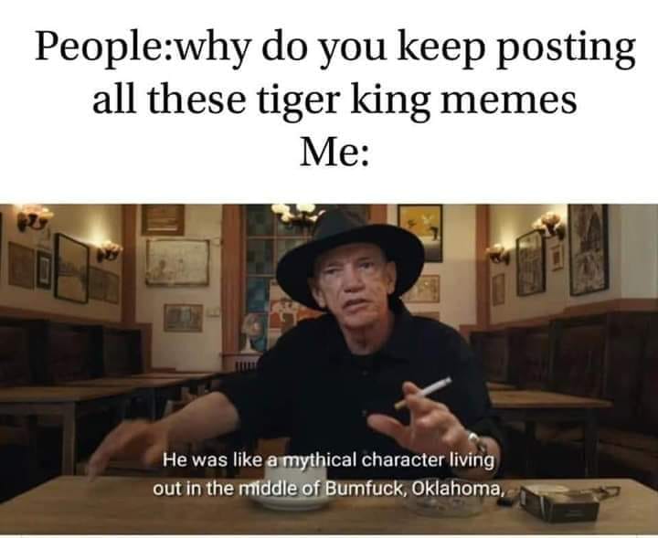 Posting All These Tiger King Memes