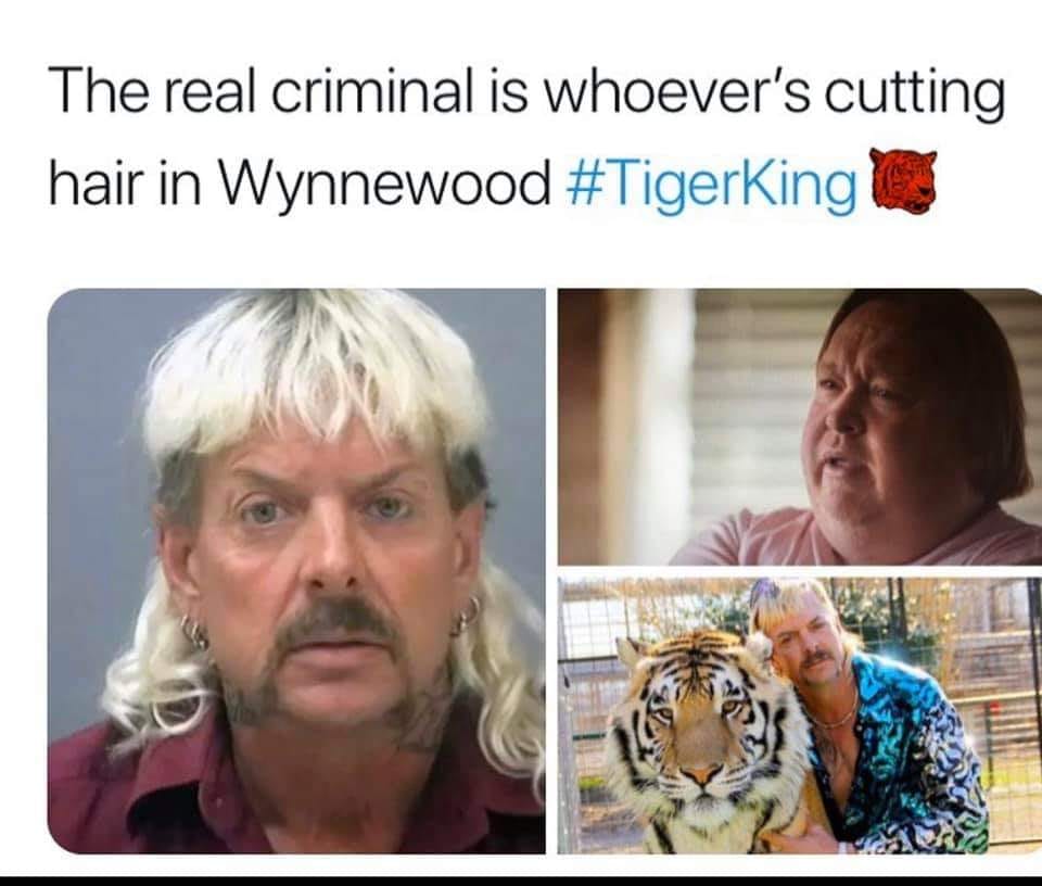 The Real Criminal