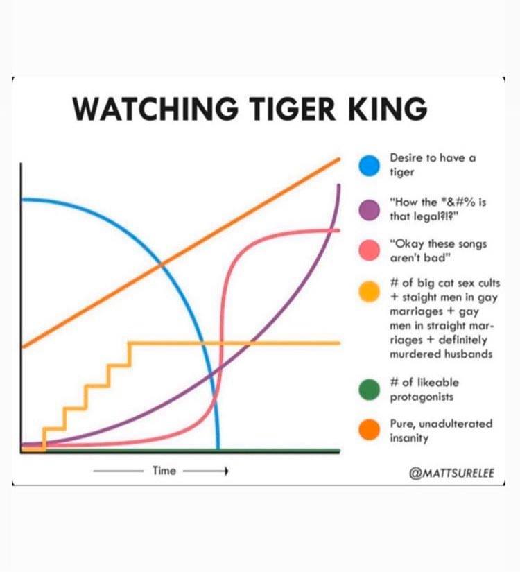 Watching Tiger King