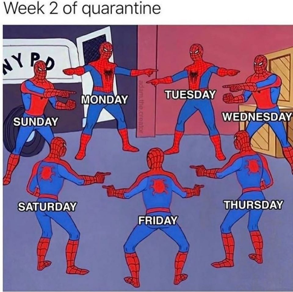 Week Two Of Quarantine - quarantine memes