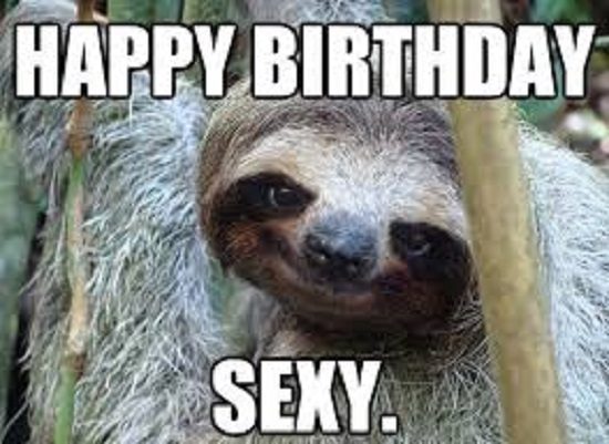Sloth Happy Birthday