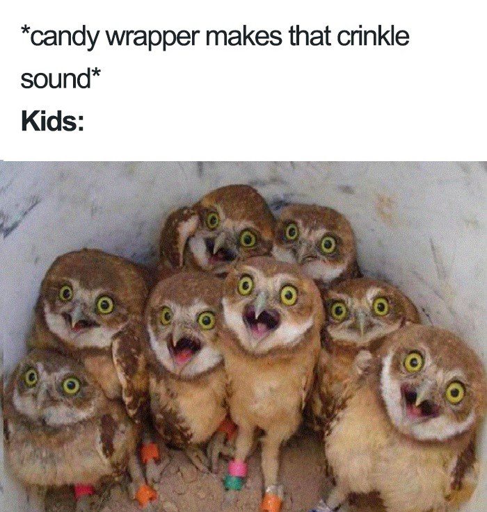 Candy Wrapper Makes That Crinkle Noise - Mom Memes