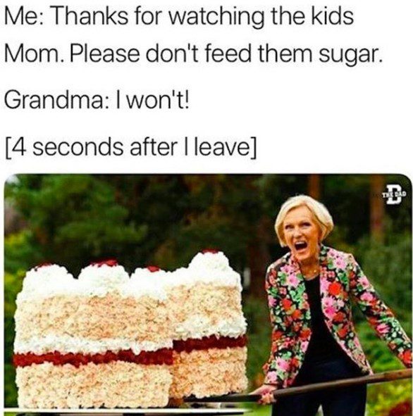 Dont Feed Them Sugar - Mom Memes
