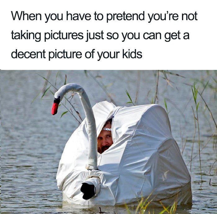 Pretend Your Not Taking Pictures - Mom Memes
