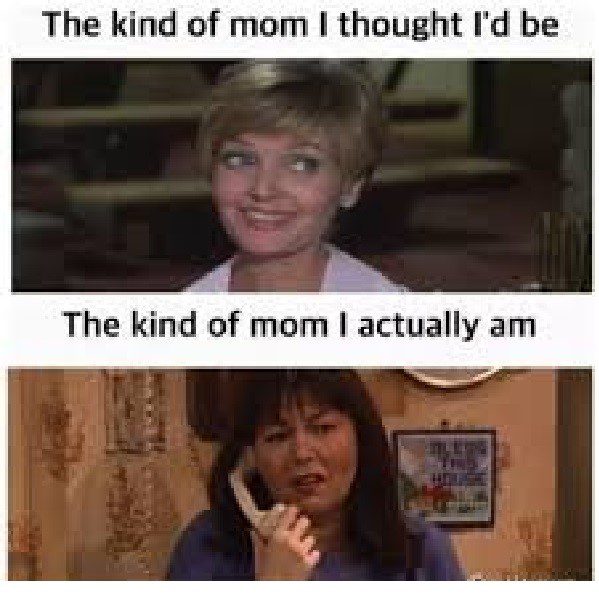 The Mom I Thought Id Be - Mom Memes