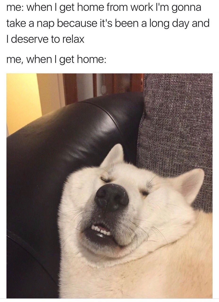 When I Get Home From Work